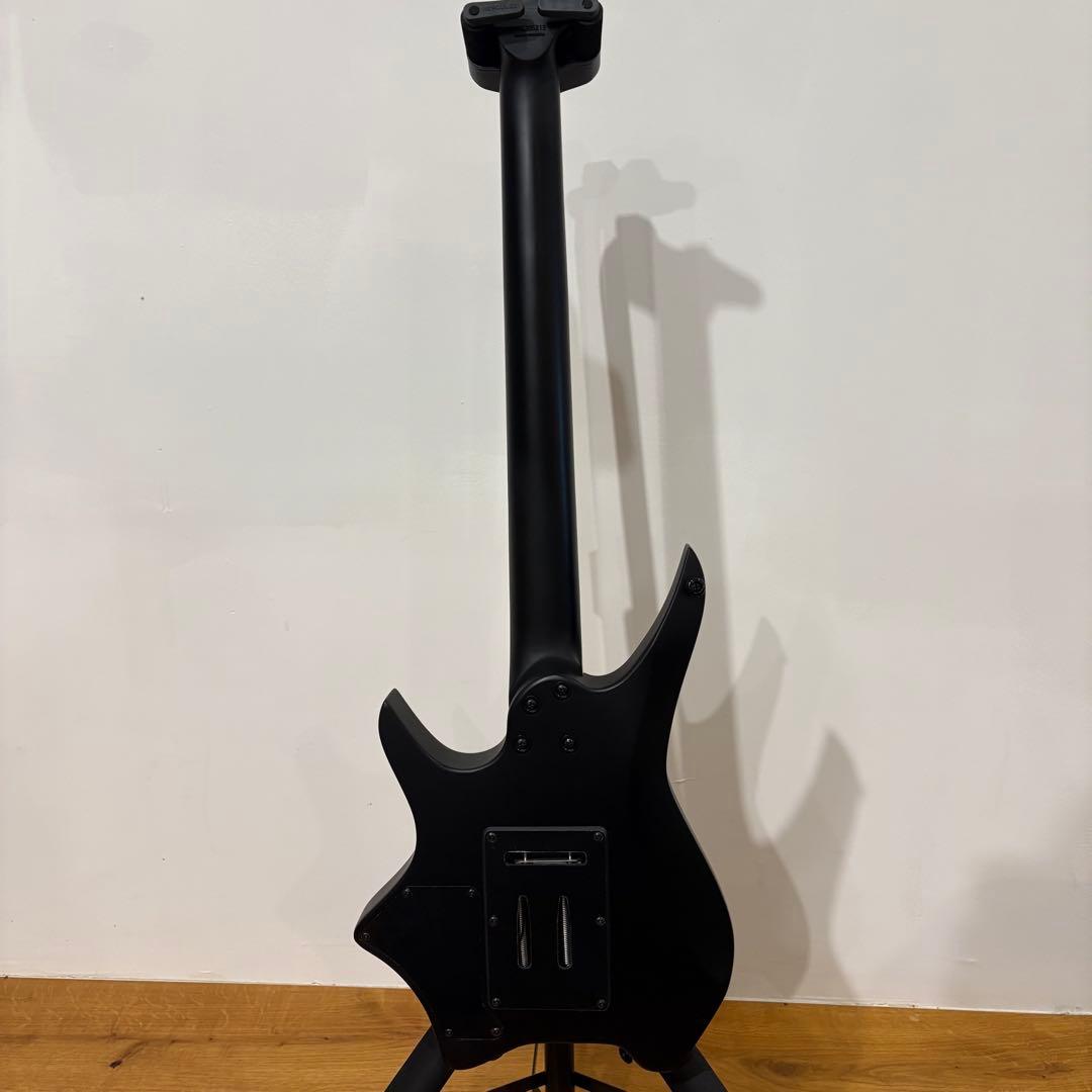 ギター HEX Guitars / N500P Black
