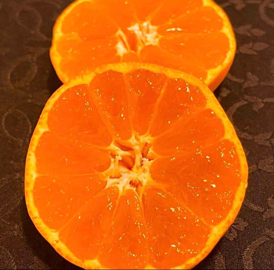 47)数量限定　甘すぎる　有田みかん　果物 　みかん　小玉　旬