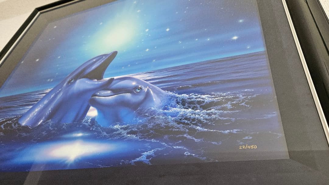 クリスチャンリースラッセン★　ドルフィンハグ