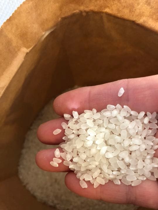 農家直送　令和7年収穫　奈良県産ヒノヒカリ　10キロ