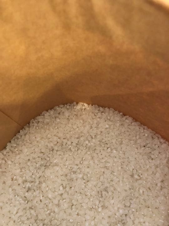 農家直送　令和7年収穫　奈良県産ヒノヒカリ　10キロ