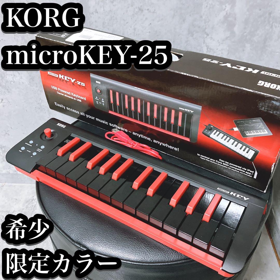 【希少】korg コルグ MIDIキーボード microKEY-25 25鍵