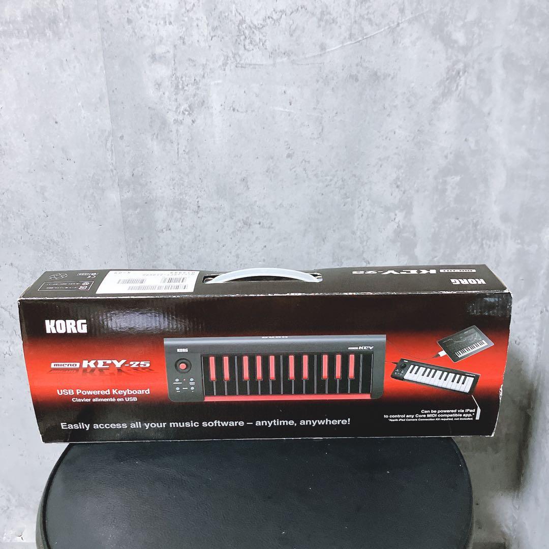 【希少】korg コルグ MIDIキーボード microKEY-25 25鍵