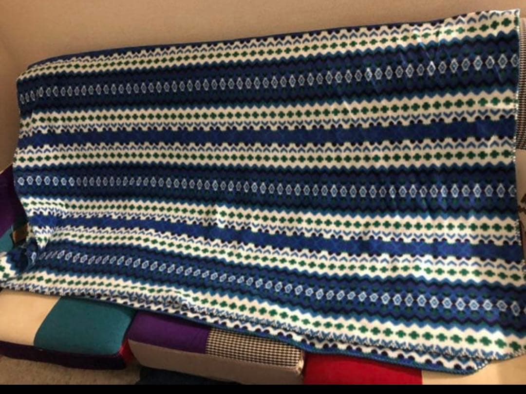 ☆美品☆Patagonia パタゴニア ブランケット 希少 レア