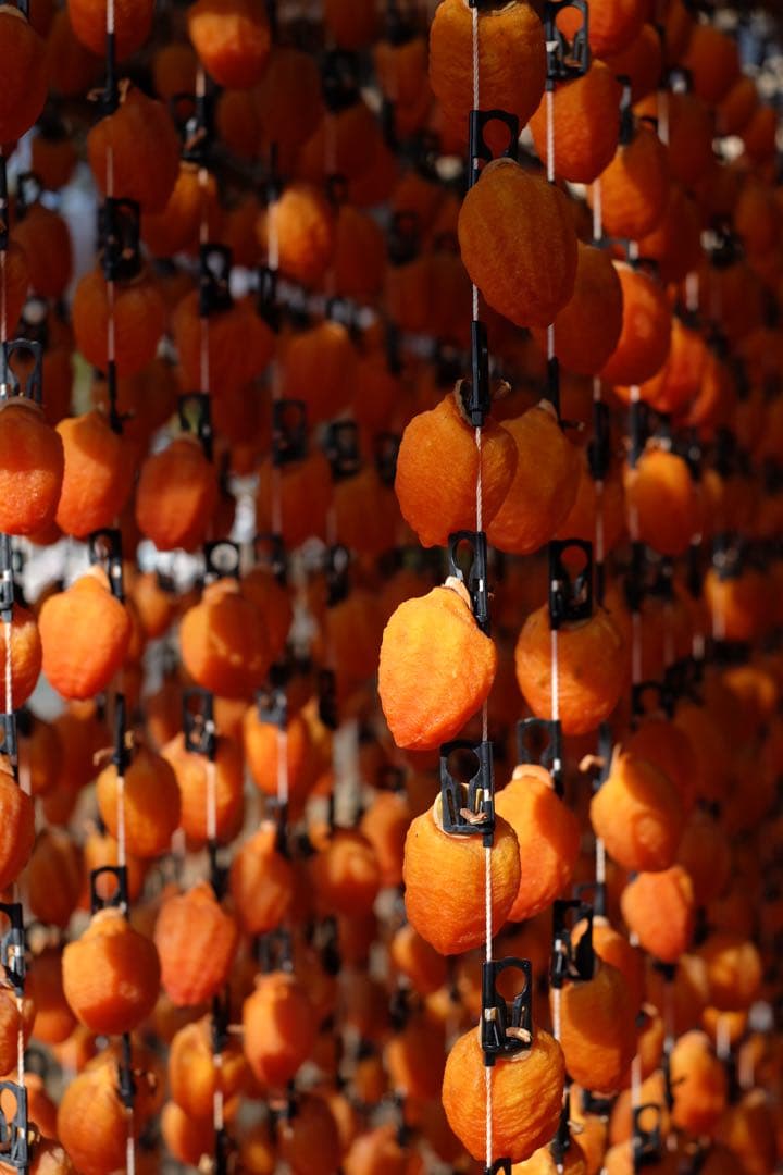 専用　武内知子様＿市田柿　3Ｌ特大200g 6パック＋900g