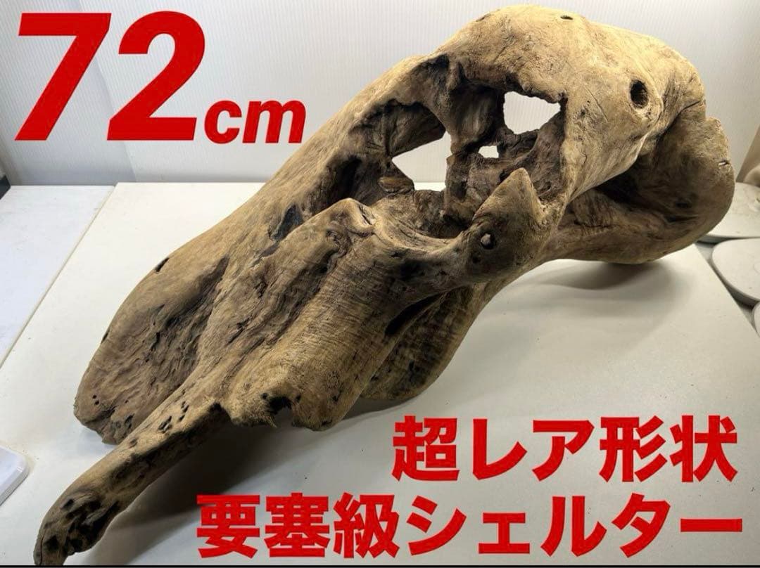 n42特大流木 大型流木 アク抜き済み 爬虫類シェルター レイアウト用 登り木