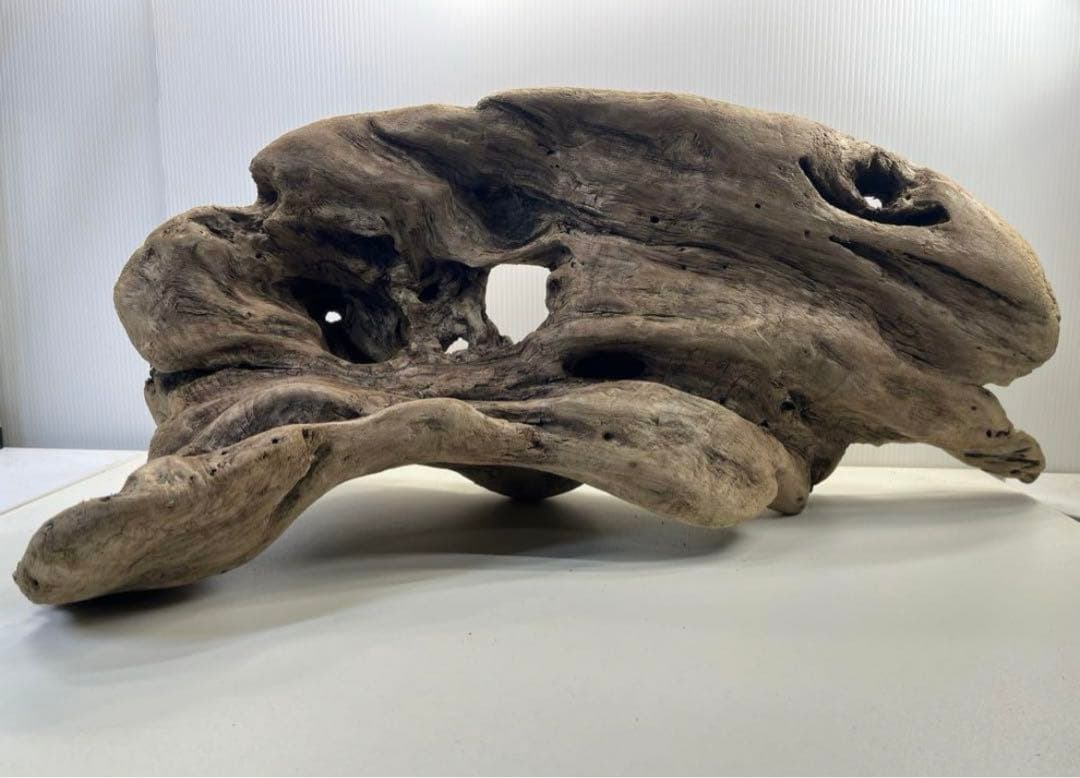 n42特大流木 大型流木 アク抜き済み 爬虫類シェルター レイアウト用 登り木