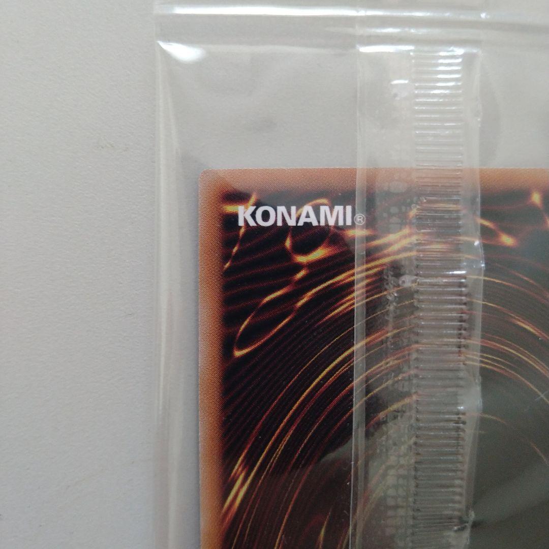 日本選手権 プロモ Dragon of Illumination