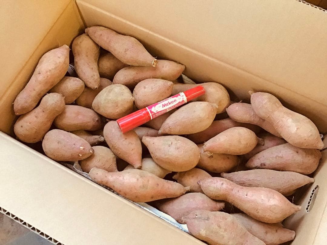 さつまいも　種子島産安納芋　焼きやすいSサイズ20kg おやつに　#安納芋