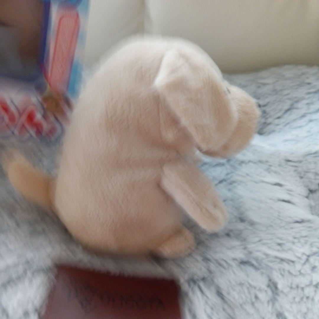 こえマネわんちゃん美品✨️