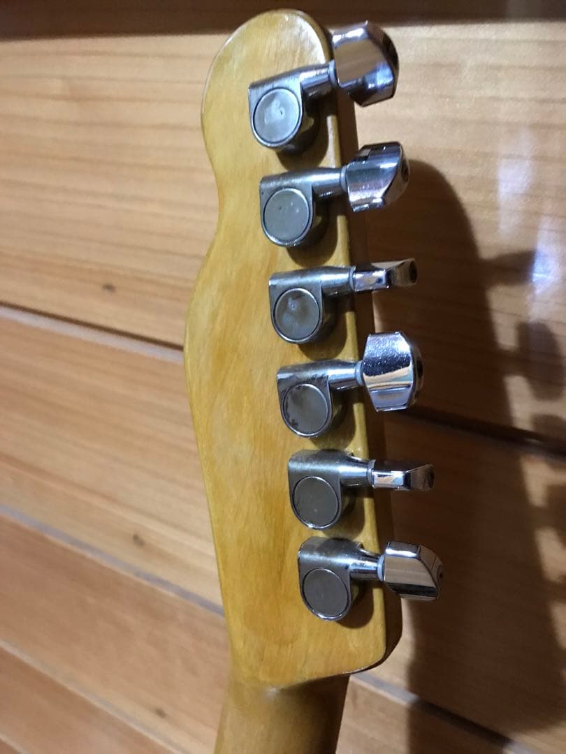 ヘビーレリック/ ‘57テレキャスタータイプTurtle Crack Body