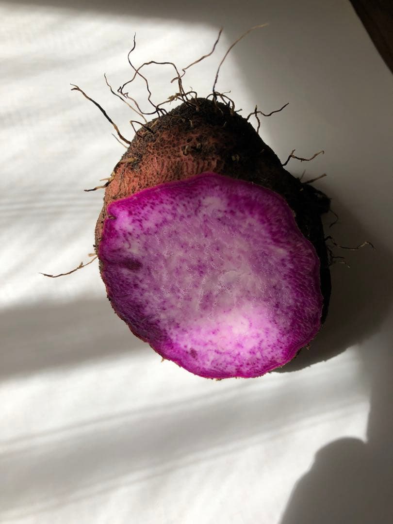 令和7年度産　紫山芋