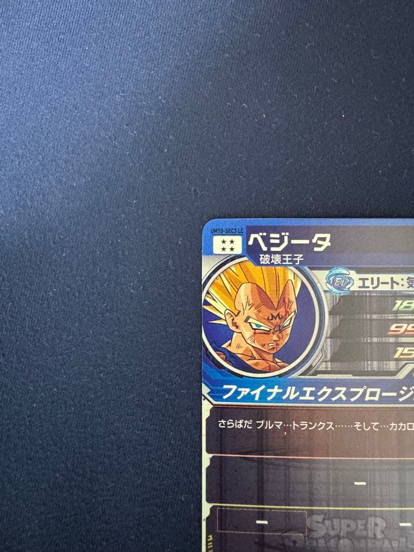 UM10-SEC3 LC べジータ