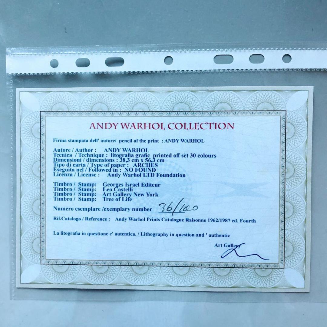 ＃3895 アンディ ウォーホル リトグラフ ジョンレノン 世界 100枚 限定