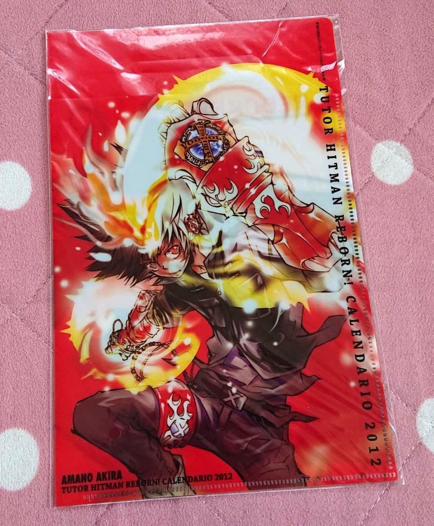 家庭教師ヒットマンREBORN！ 集英社コミックカレンダー 原作絵 天野明