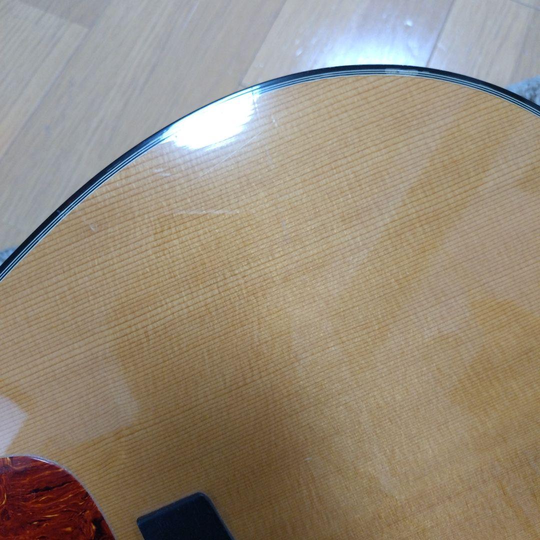 Morris エレアコ M-51GT アコースティックギター