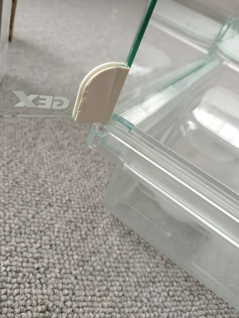 グラスハーモニー大小　餌　砂　今すぐ飼えるセット