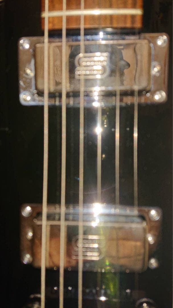 【ふぶ 】Epiphone Firebir