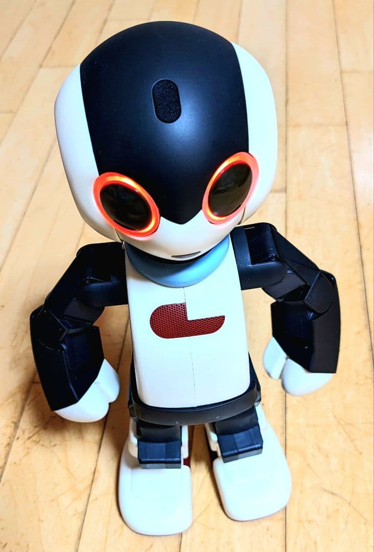 【限定モデル】初代Robi メーカー組立完成品 専用ケース付 希少 美品