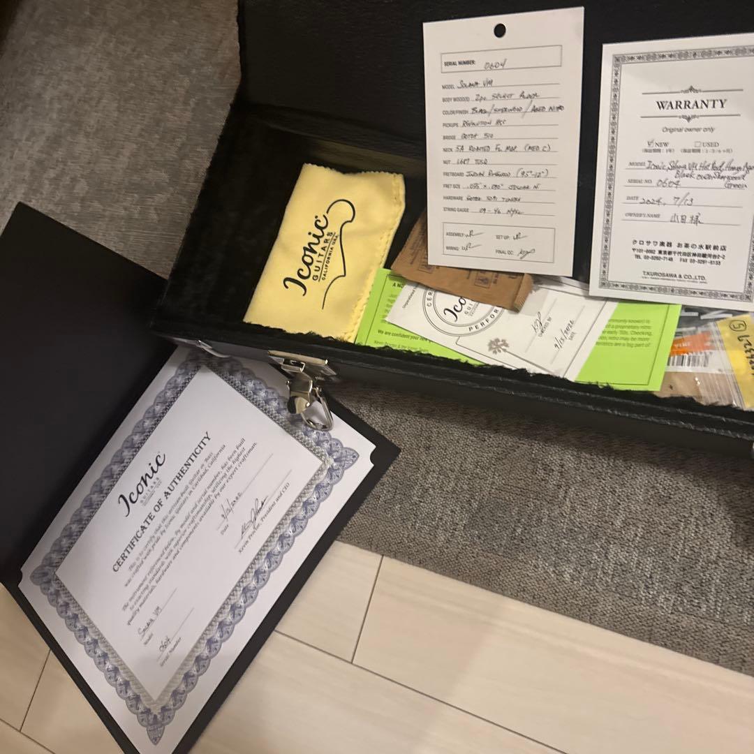 ギター Iconic Guitars SOLANA VM Heavy Aged