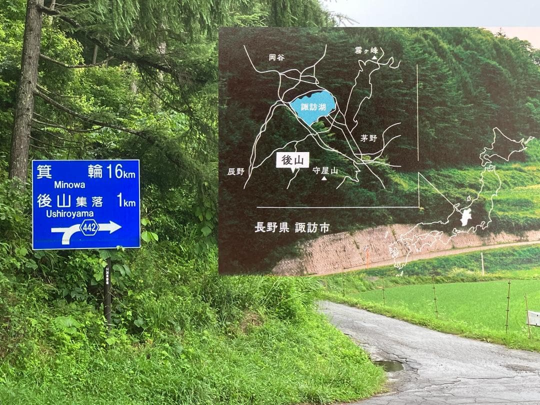 【令7新蜜】アカシア蜜 1000g 2本 長野県産 生はちみつ 西洋蜜蜂