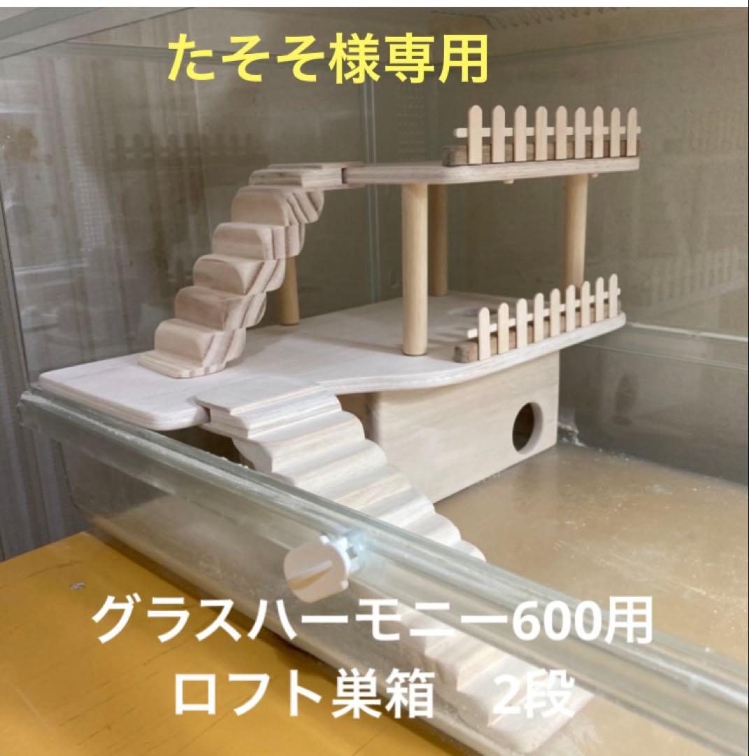 たそそ　ハムスター　グラスハーモニー600用　ロフト巣箱　2段