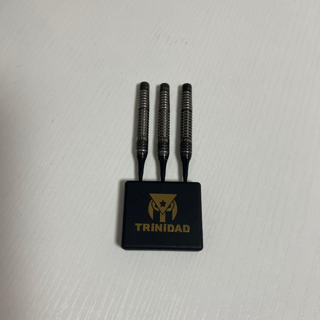 激レア 美品 トリニダード リカルド エスダーツ限定版 浅田斉吾 ダーツ バレル