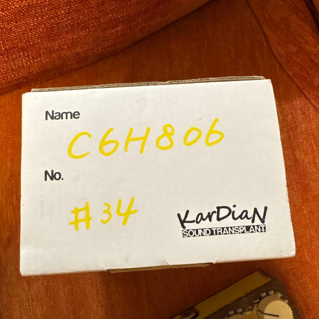 KarDiaN C6H8O6 \"VITAMIN C\"カージアン ビタミン ファズ