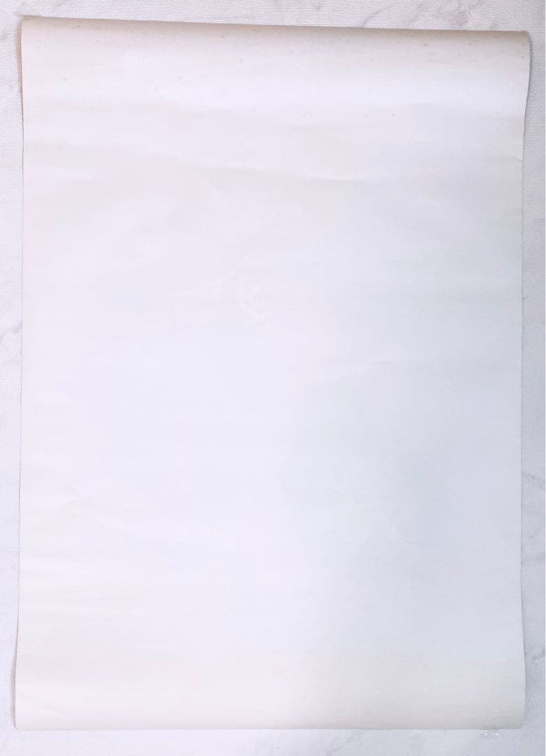 【松本零士】俺の旗の下に　キャプテンハーロックポスター