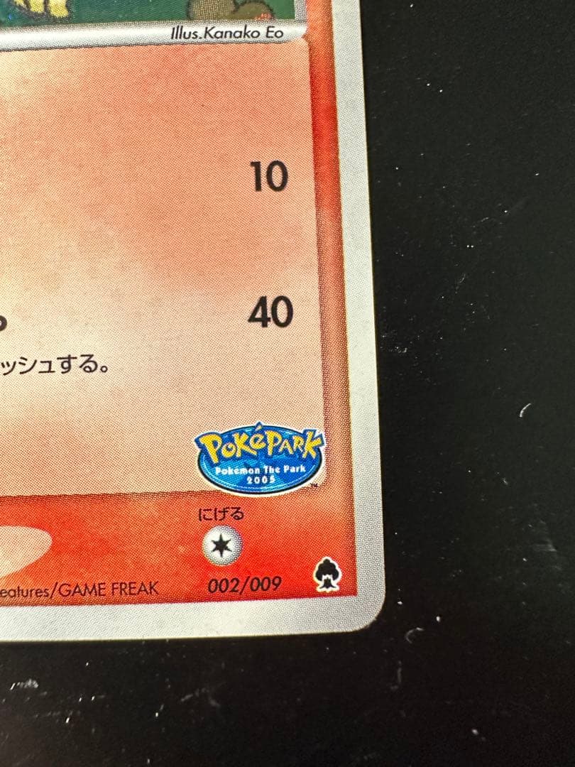 ポケパークのアチャモ　プレミアムファイル