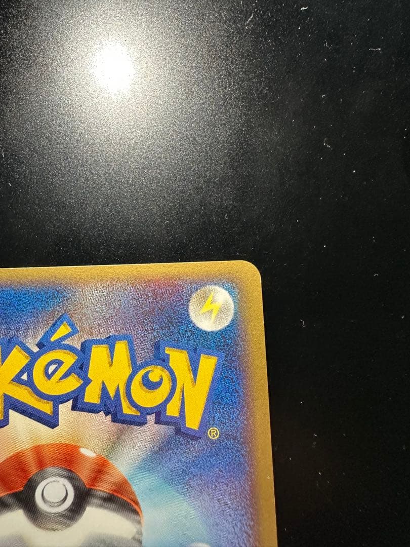 ポケパークのアチャモ　プレミアムファイル