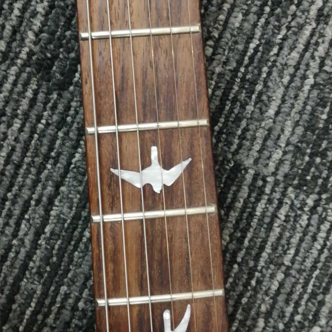 【PRS】SECUSTOM 24 QM LTD CUSTOM QM LTD