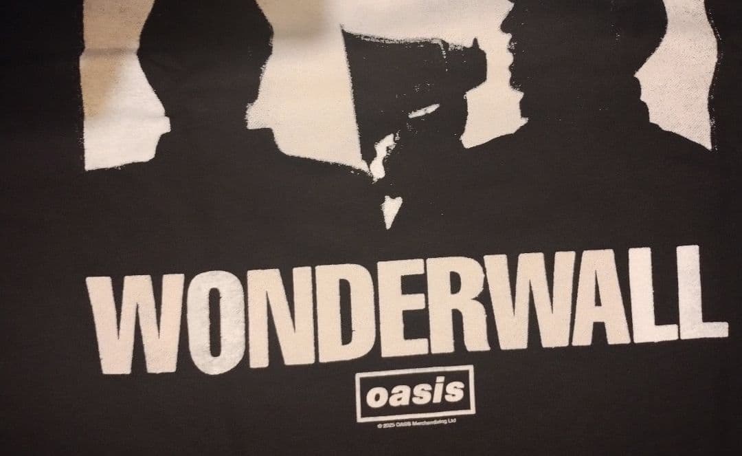 超貴重 オアシス ワンダーウォール 30周年記念 90分間限定販売Tシャツ XL