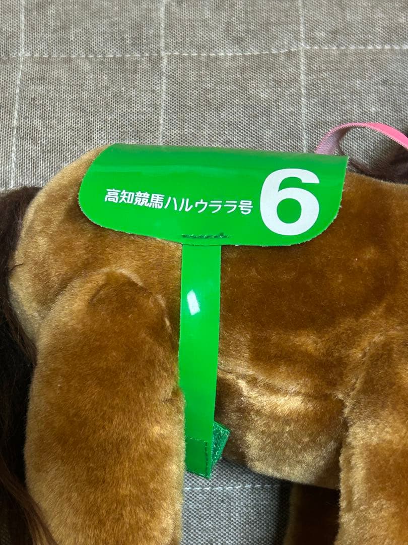 高知競馬 ハルウララ号 6 ぬいぐるみ