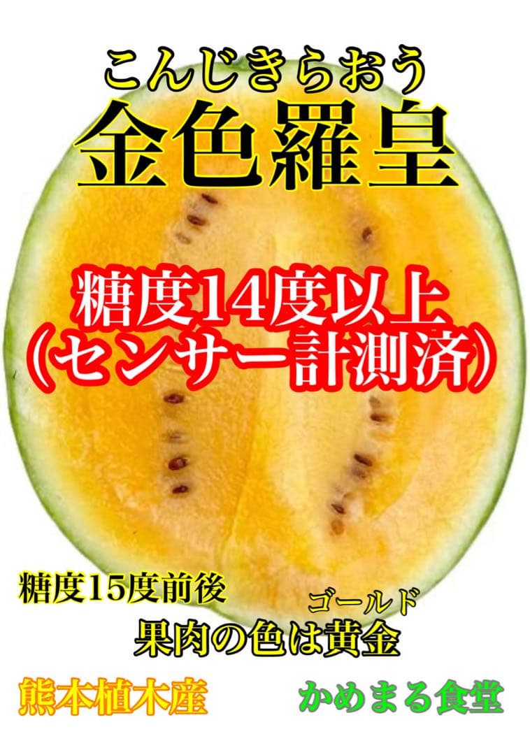衝撃のサイズと甘さ、金色羅皇6L2玉セット24k前後箱込　かめまる食堂