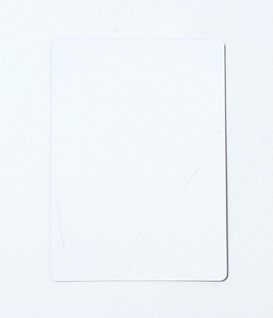 MTG 神憑く相棒 英語版 プロモ FOIL アーティストプルーフ