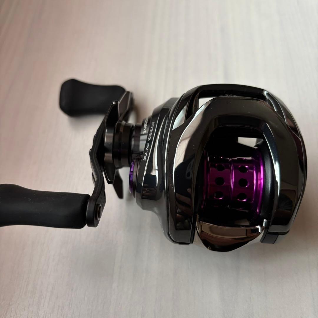 ダイワ　24スティーズ SV TW 100HL