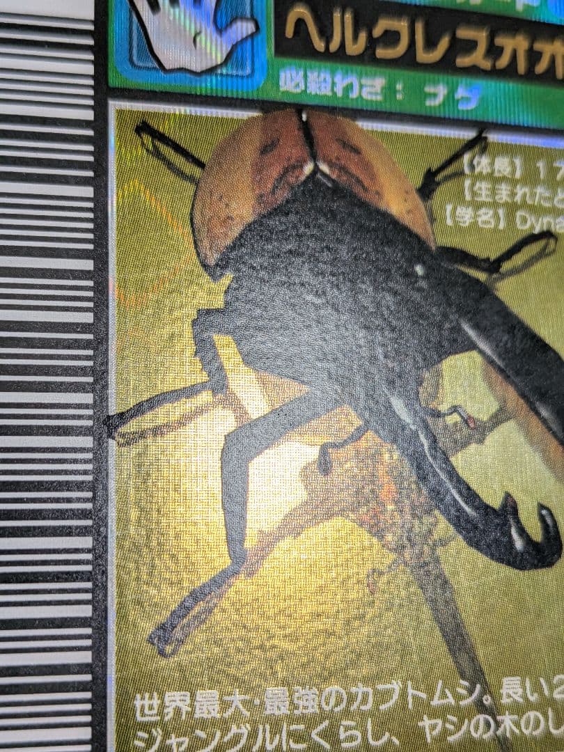 suparutaso様確認用