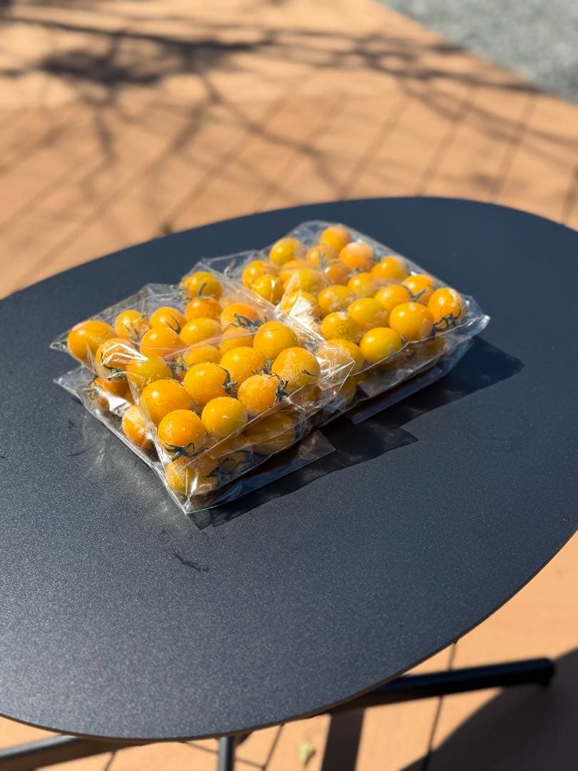 冷凍トマト ミニトマト イエローミミ 業務用 加工用 5kg