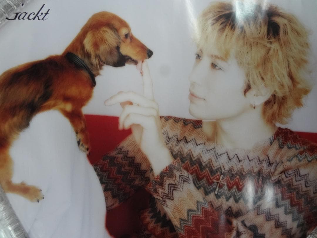 Ｇakct   ガクト　●　入手困難非売品ポスター３０本まとめて