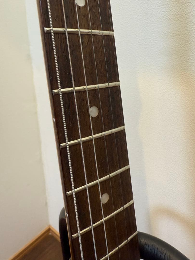 LaidBack LST-5R ストラト