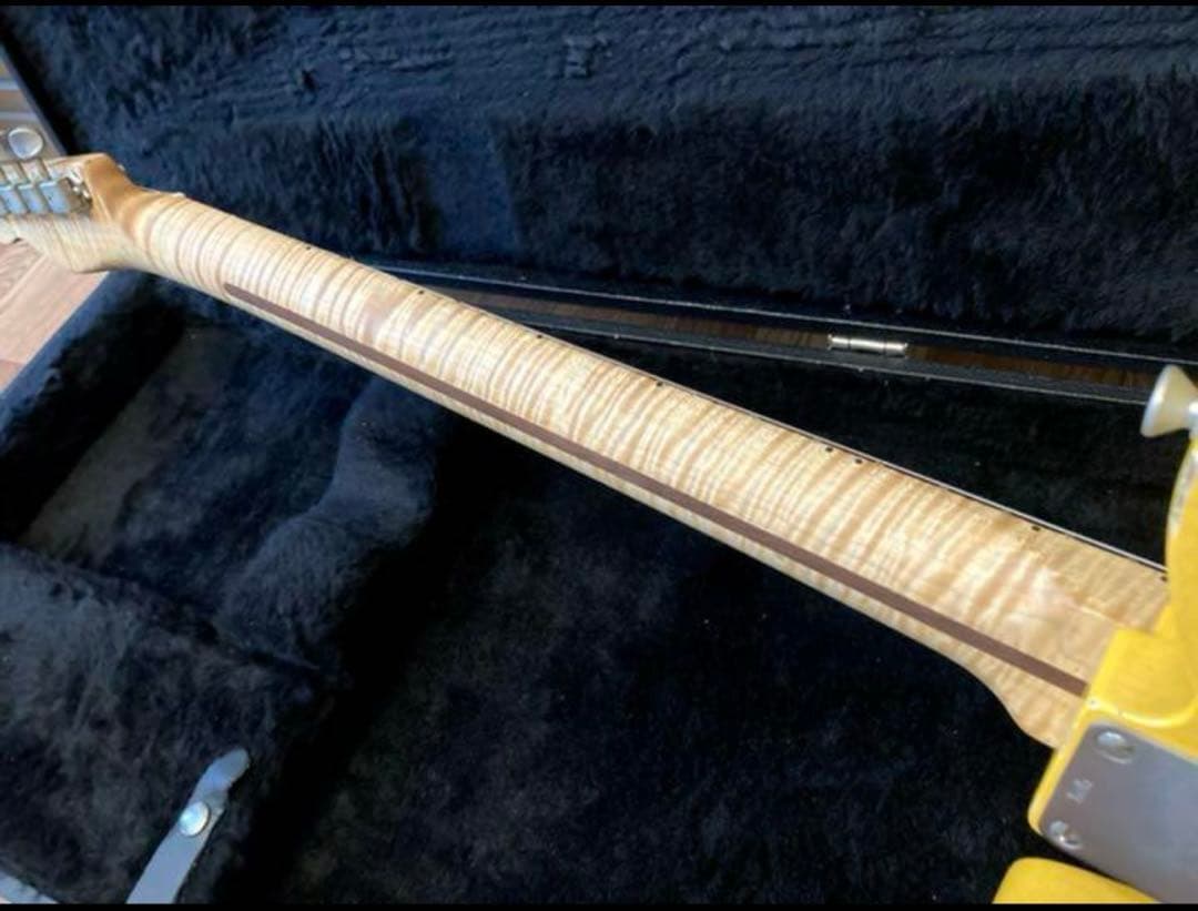 ギター LSL Instruments T-Bone