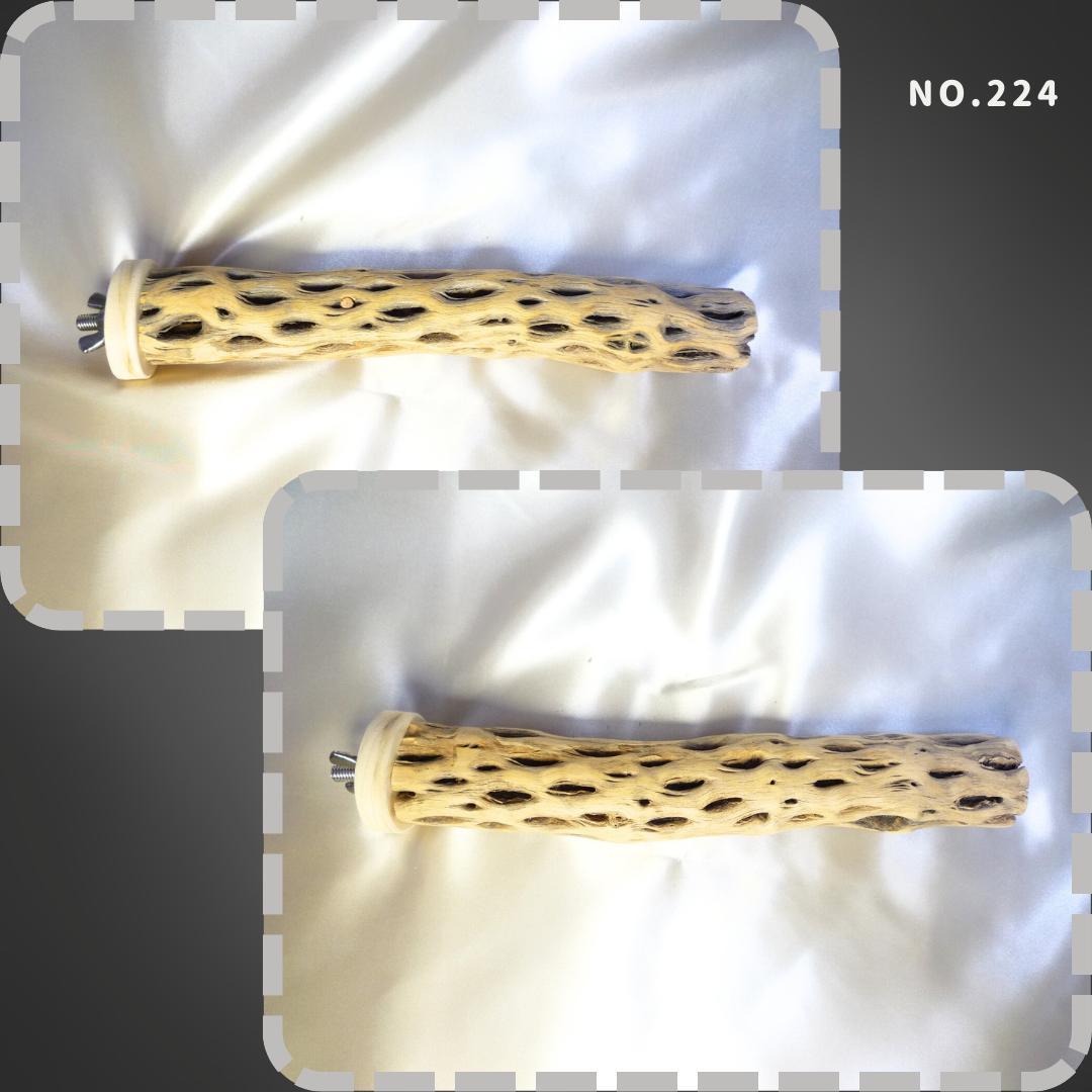 maona　鳥用品　止まり木　カクタス　スケルトン　パーチ　2本おまとめ