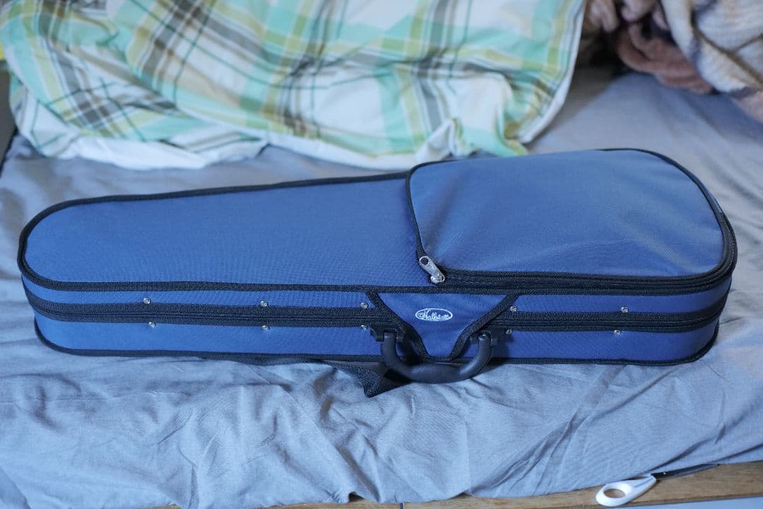 Hallstatt エレキバイオリン