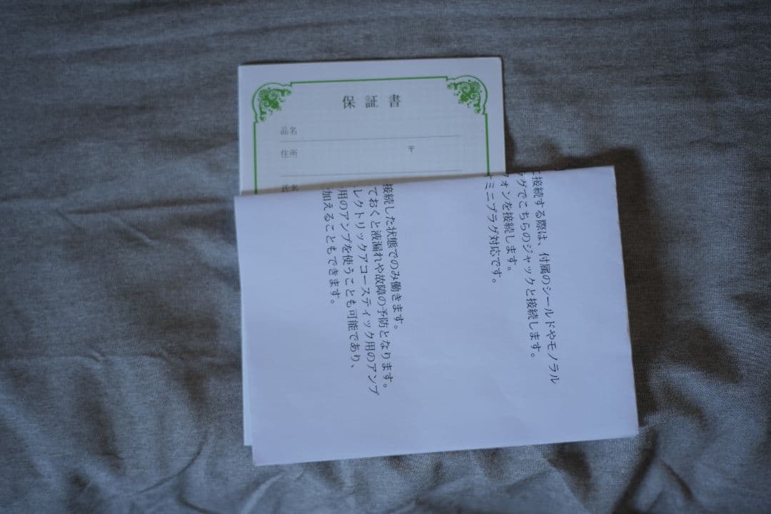 Hallstatt エレキバイオリン