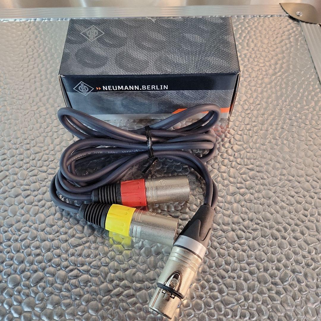 NEUMANN ノイマン KU100 ステレオ マイク ケース付動作品