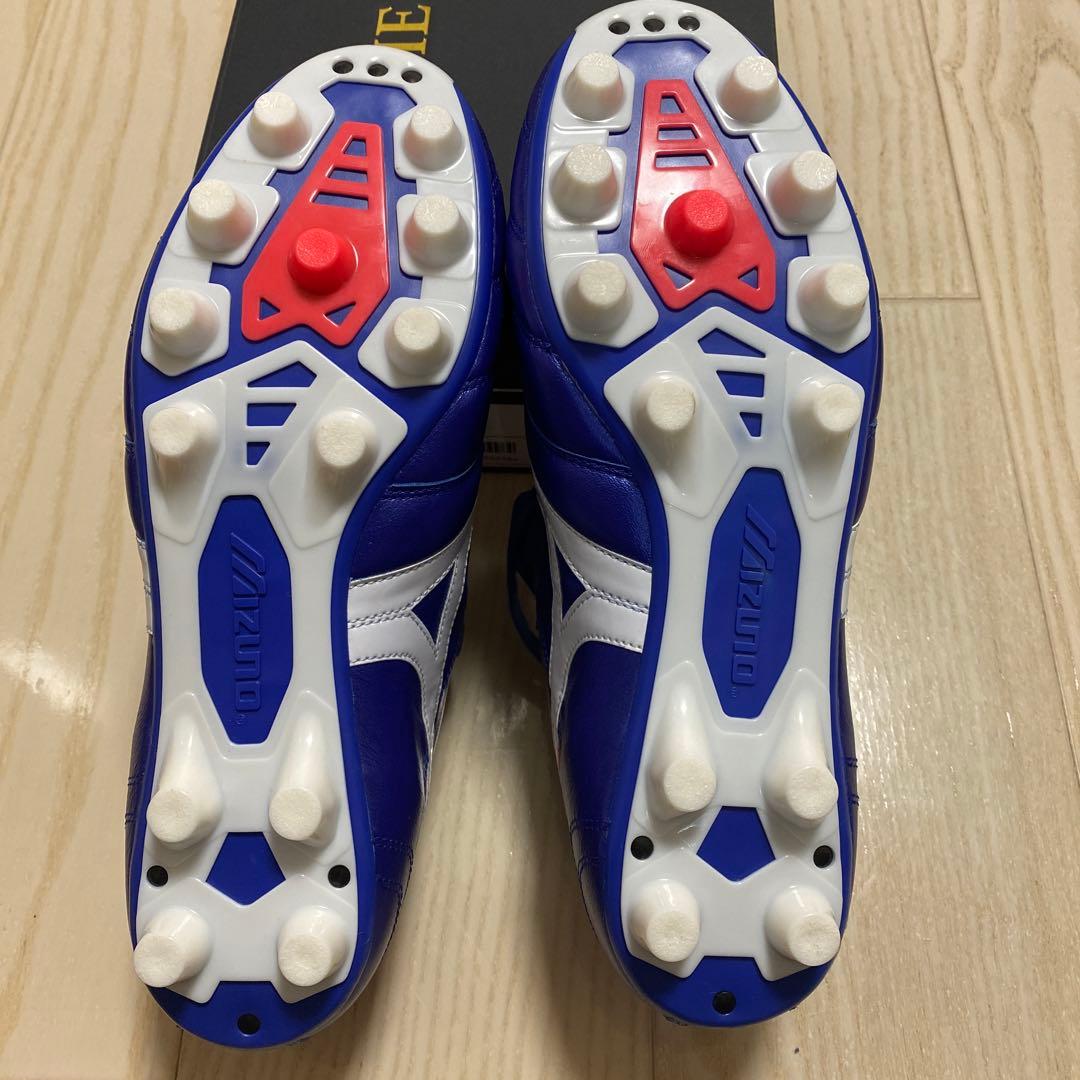 モレリア　青色