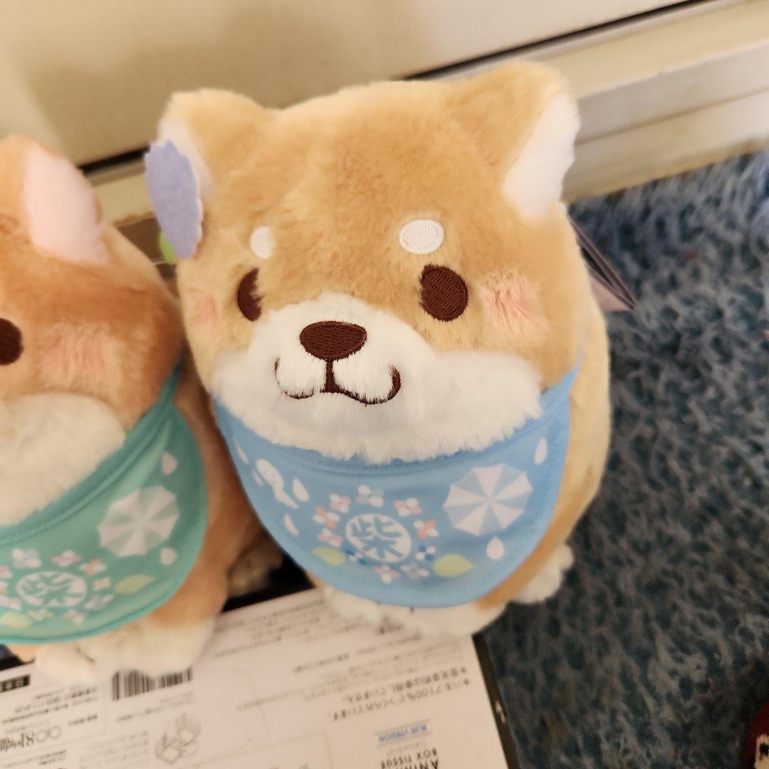 忠犬もちしばぬいぐるみ3個セット