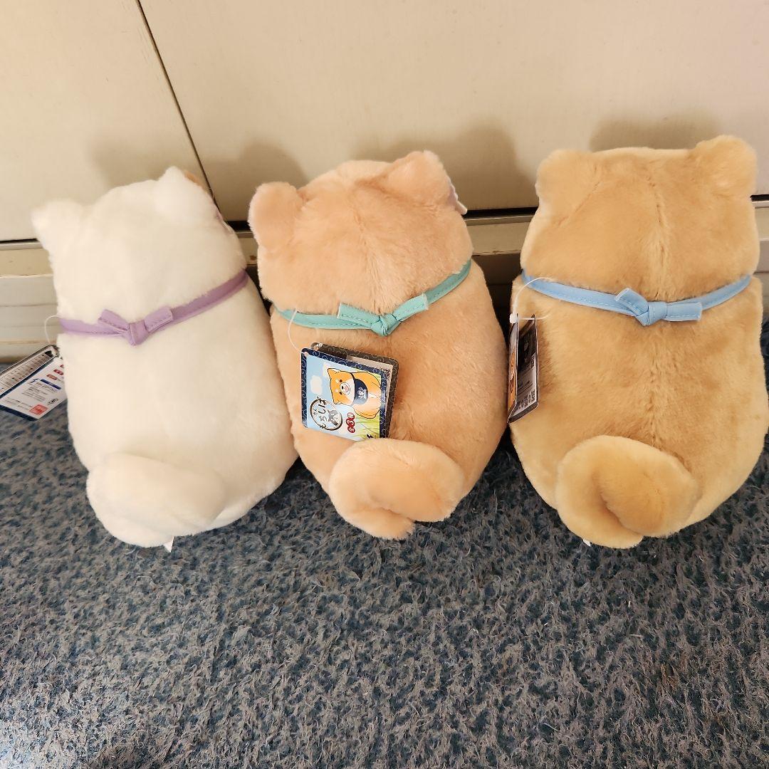忠犬もちしばぬいぐるみ3個セット