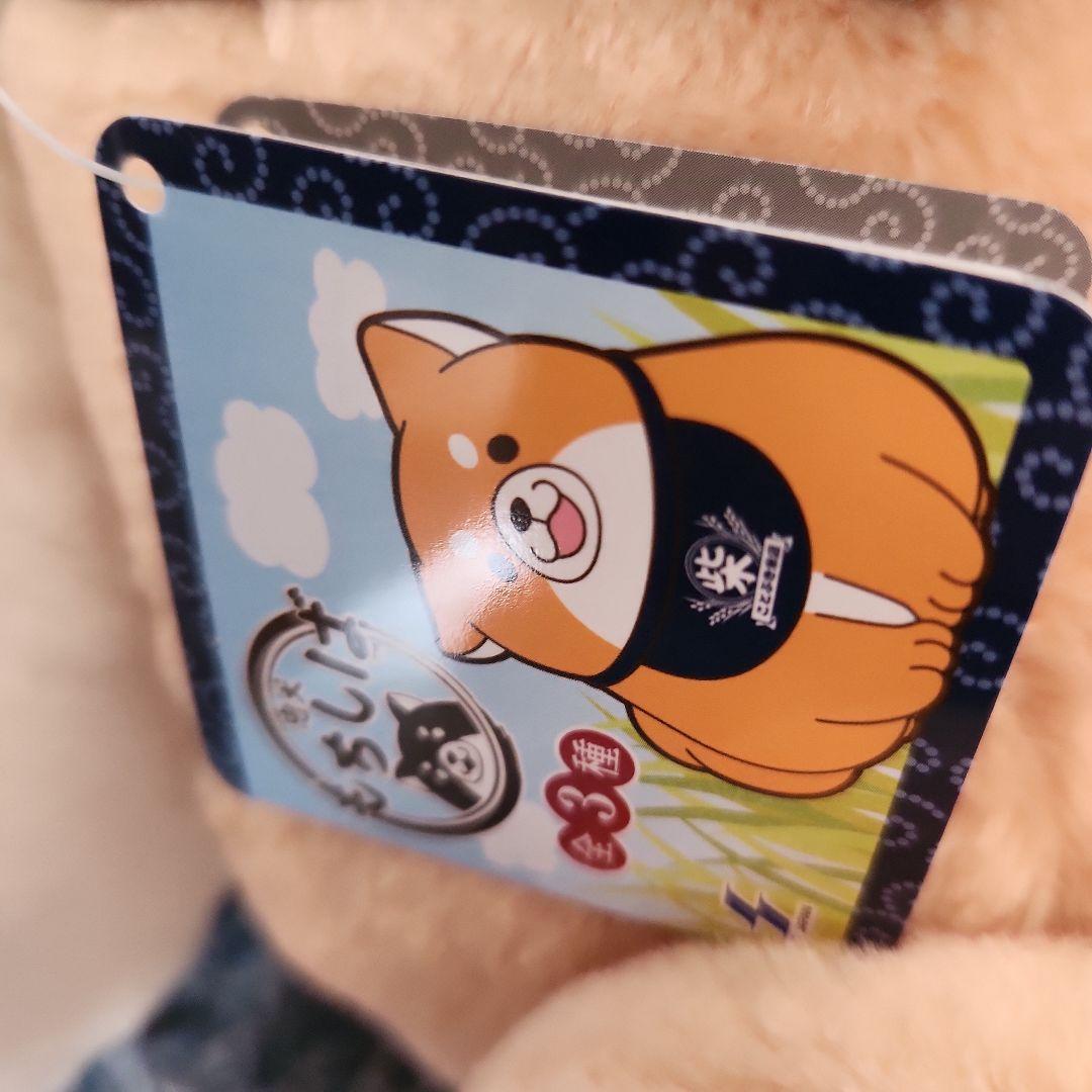 忠犬もちしばぬいぐるみ3個セット